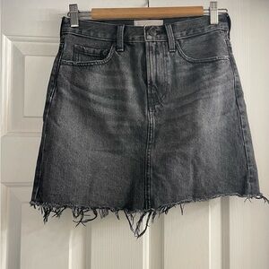 Everlane Denim Skirt